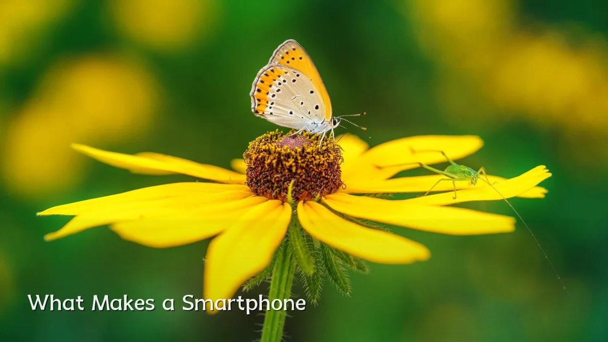 What Makes a Smartphone