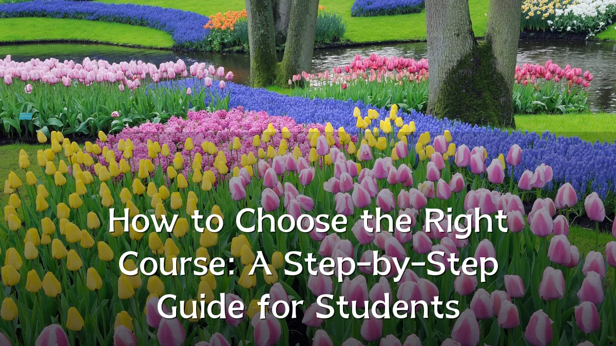 How to Choose the Right Course: A Step-by-Step Guide for Students