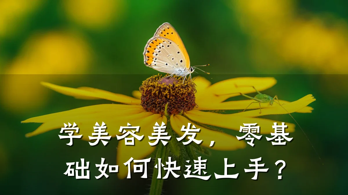 学美容美发,零基础如何快速上手?