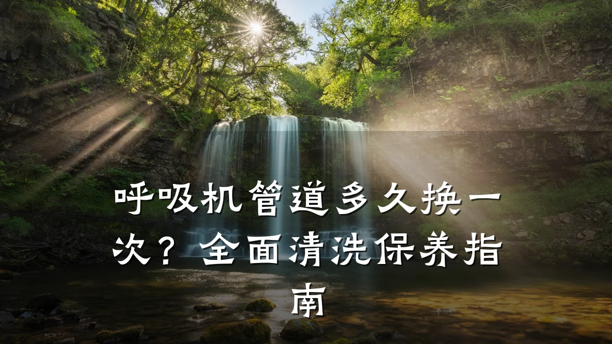 呼吸机管道多久换一次？全面清洗保养指南