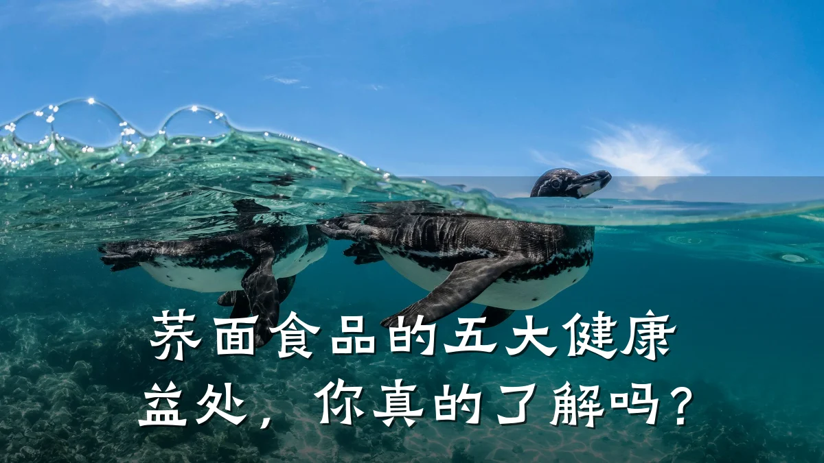 荞面食品的五大健康益处,你真的了解吗?