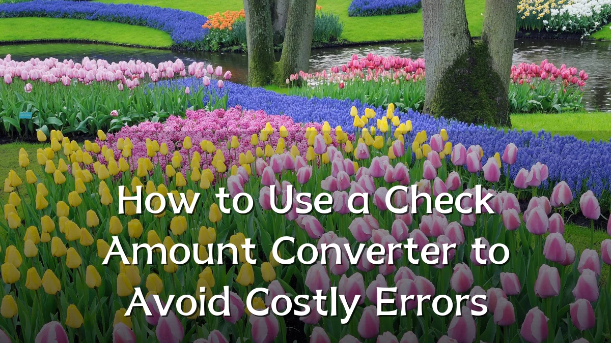 How to Use a Check Amount Converter to Avoid Costly Errors