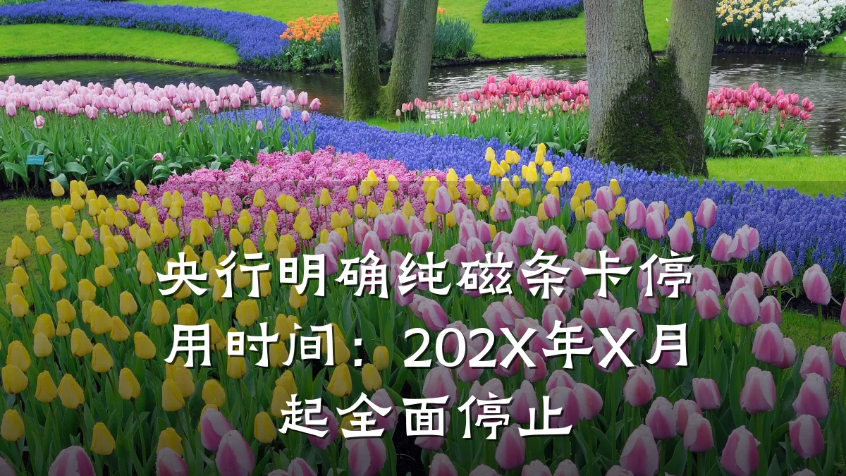央行明确纯磁条卡停用时间:202X年X月起全面停止