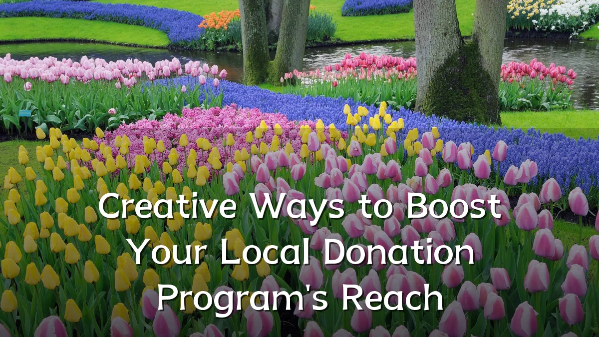 Creative Ways to Boost Your Local Donation Program's Reach