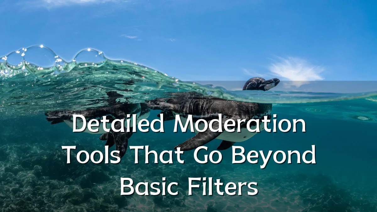 Detailed Moderation Tools That Go Beyond Basic Filters