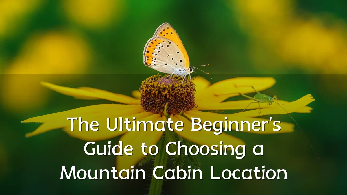 The Ultimate Beginner's Guide to Choosing a Mountain Cabin Location