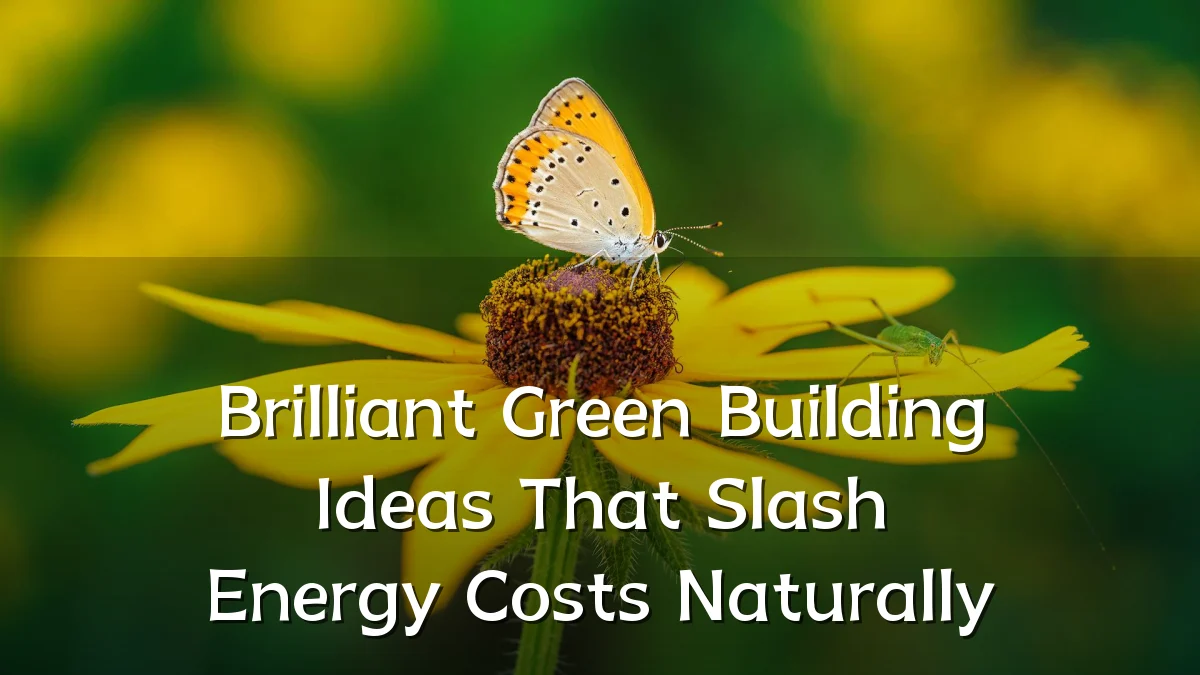 Brilliant Green Building Ideas That Slash Energy Costs Naturally