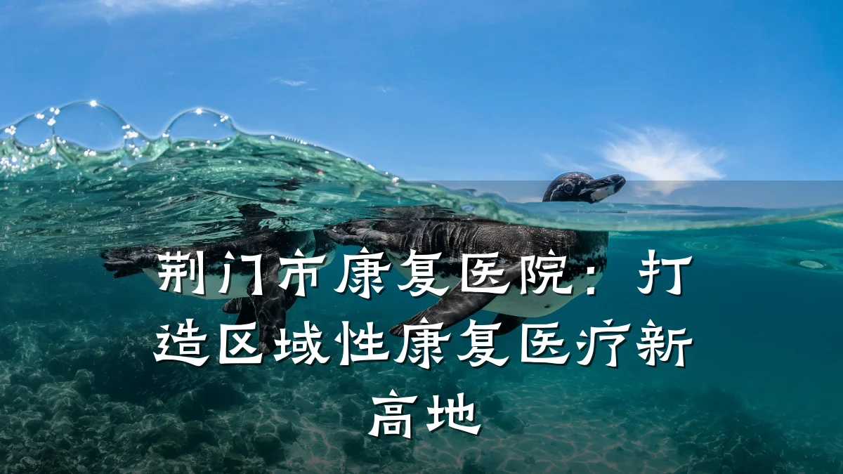 荆门市康复医院：打造区域性康复医疗新高地