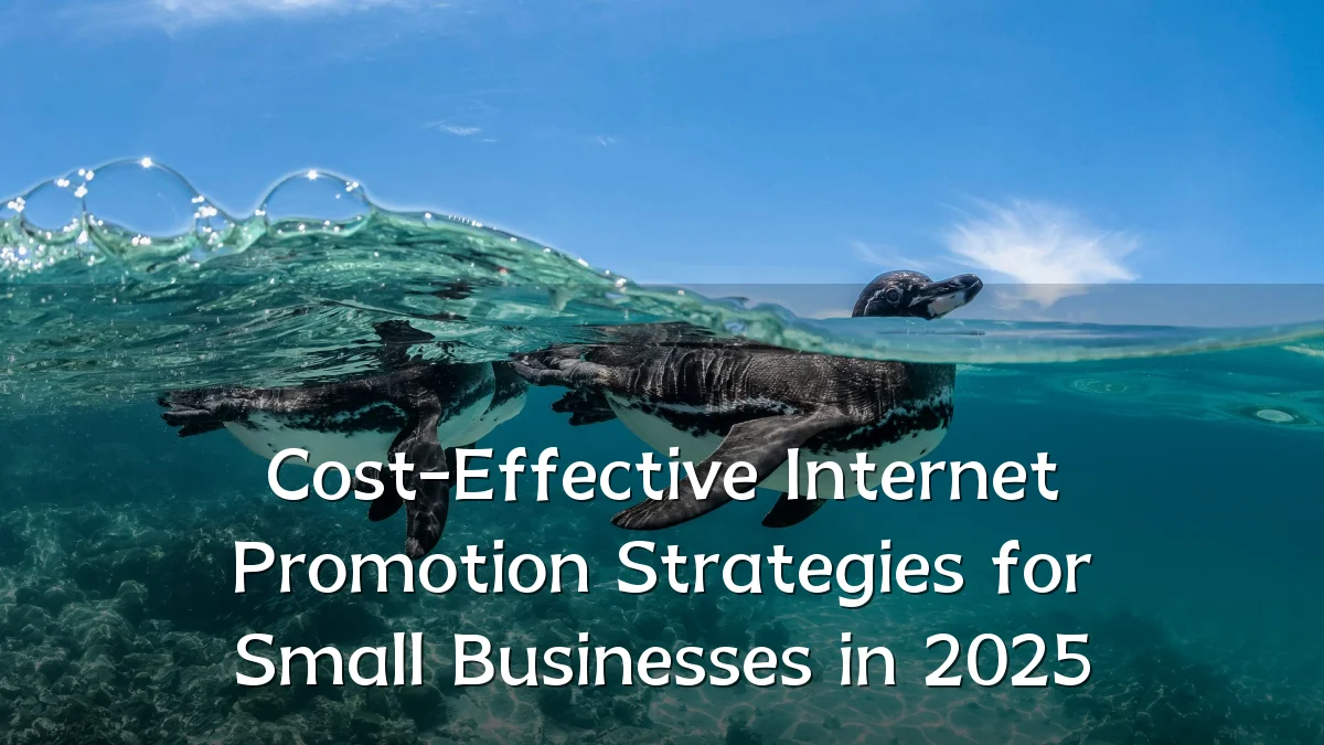 Cost-Effective Internet Promotion Strategies for Small Businesses in 2025
