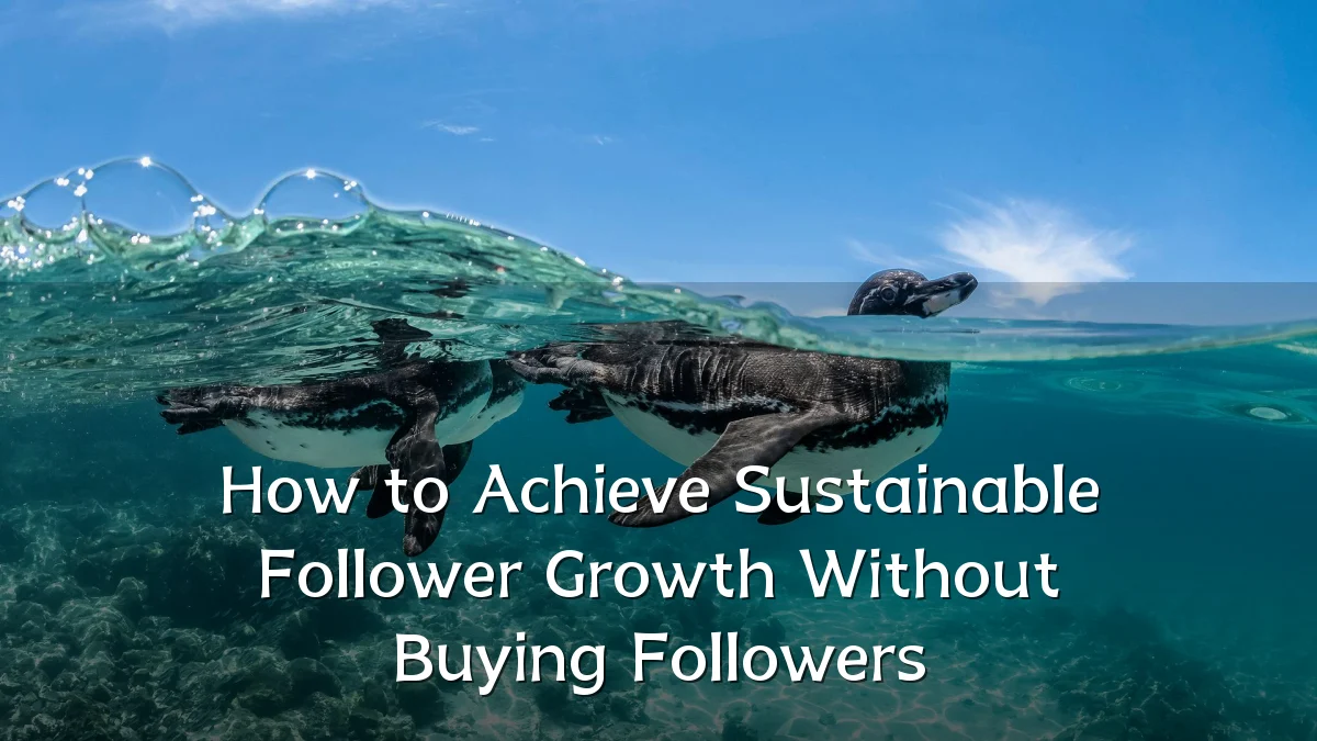 How to Achieve Sustainable Follower Growth Without Buying Followers