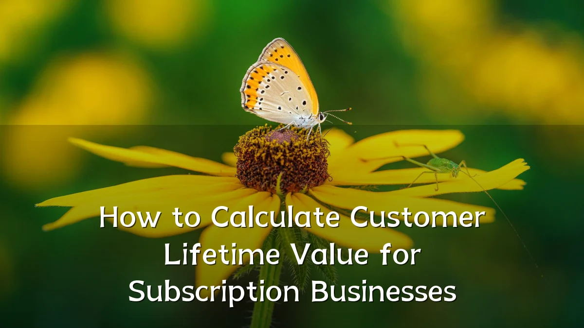How to Calculate Customer Lifetime Value for Subscription Businesses
