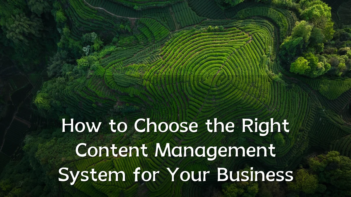 How to Choose the Right Content Management System for Your Business