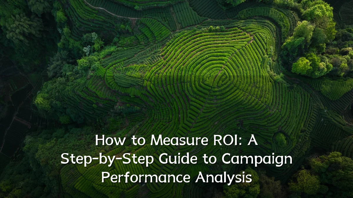 How to Measure ROI: A Step-by-Step Guide to Campaign Performance Analysis