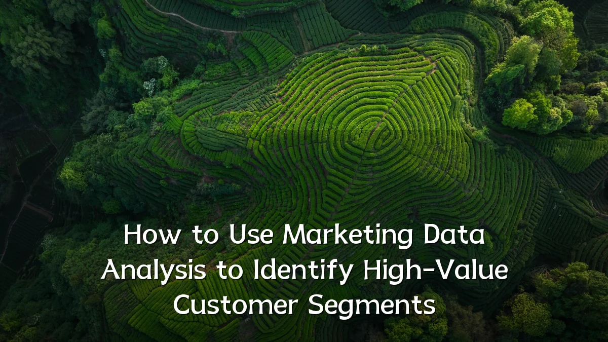 How to Use Marketing Data Analysis to Identify High-Value Customer Segments