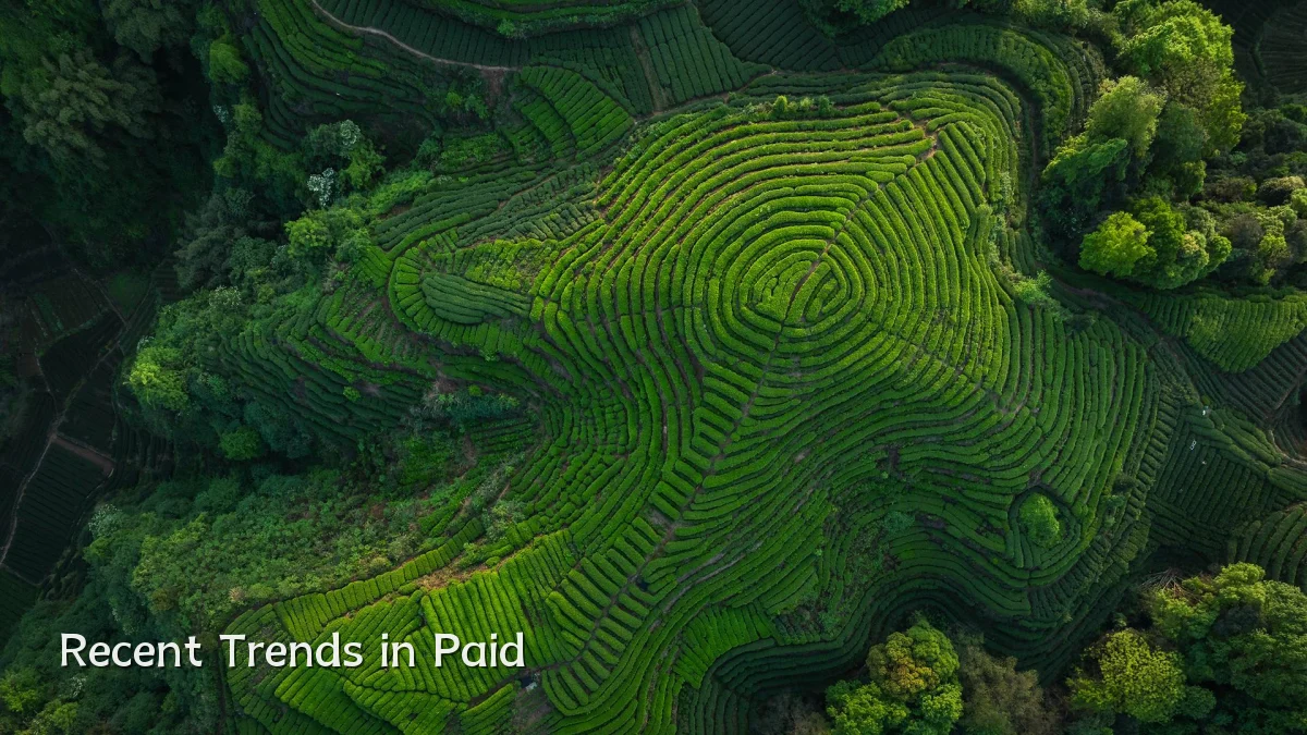 Recent Trends in Paid