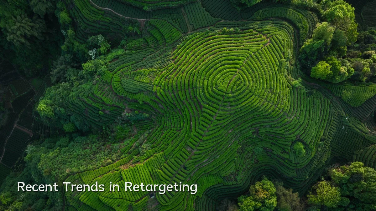 Recent Trends in Retargeting