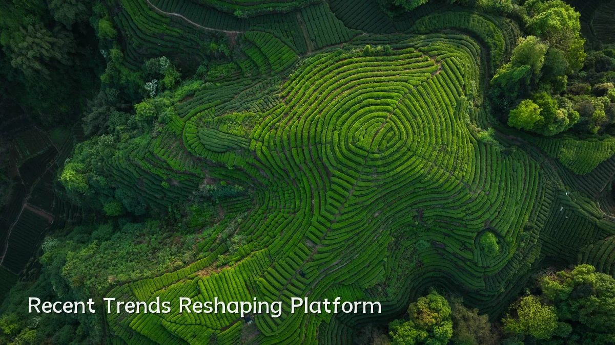Recent Trends Reshaping Platform