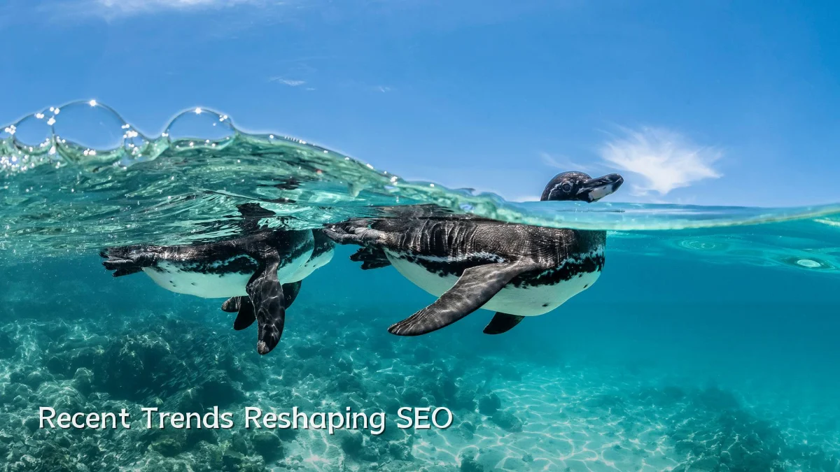 Recent Trends Reshaping SEO