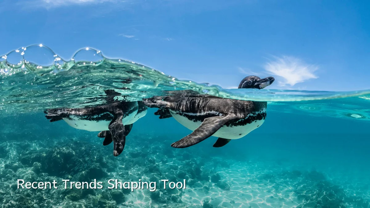 Recent Trends Shaping Tool