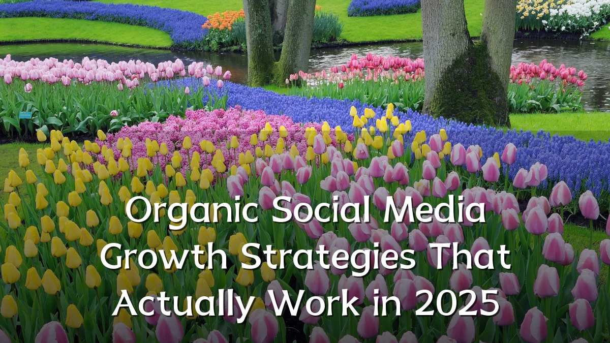 Organic Social Media Growth Strategies That Actually Work in 2025