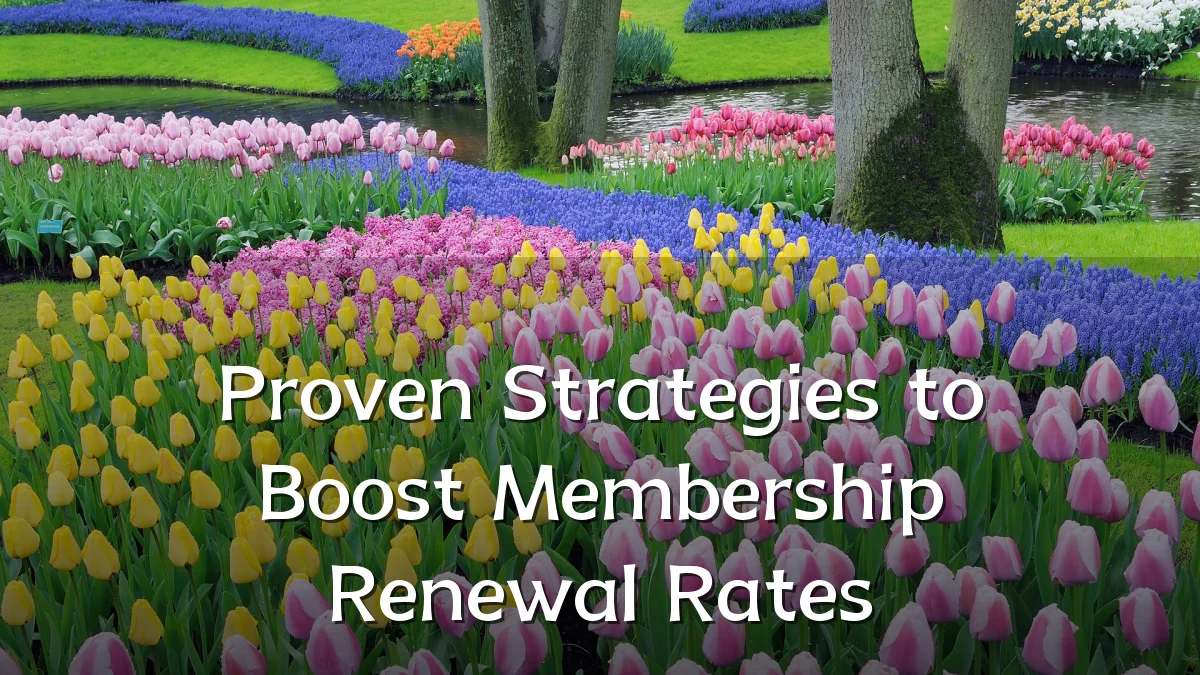 Proven Strategies to Boost Membership Renewal Rates