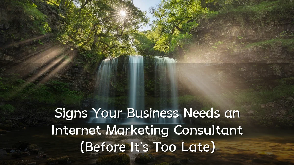 Signs Your Business Needs an Internet Marketing Consultant (Before It's Too Late)