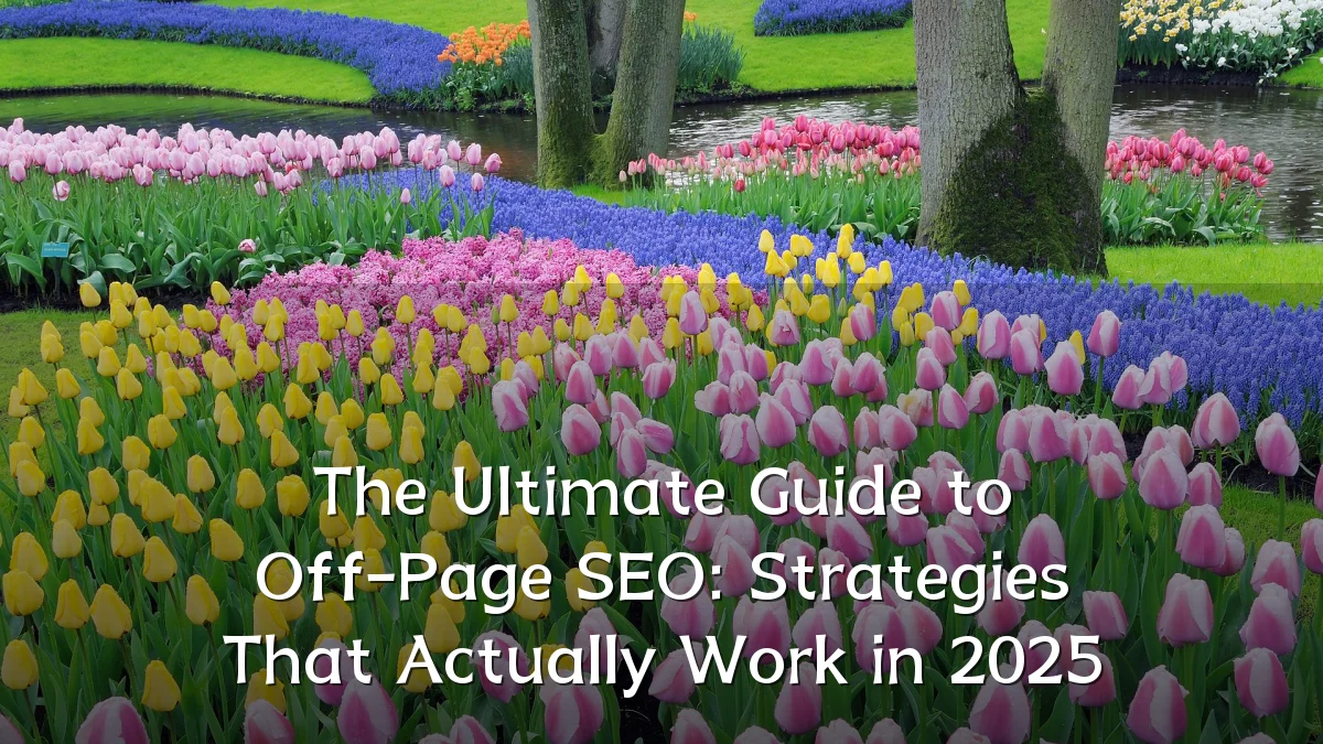 The Ultimate Guide to Off-Page SEO: Strategies That Actually Work in 2025