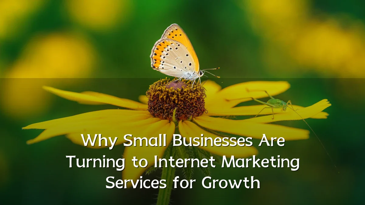 Why Small Businesses Are Turning to Internet Marketing Services for Growth