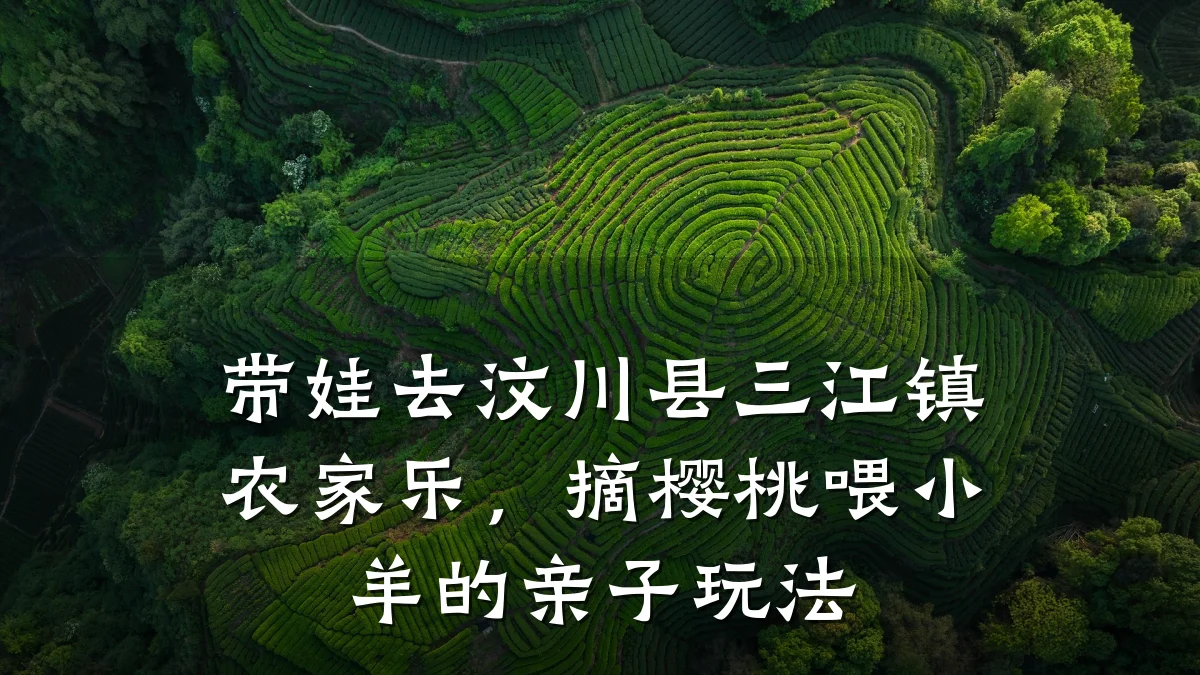 带娃去汶川县三江镇农家乐,摘樱桃喂小羊的亲子玩法