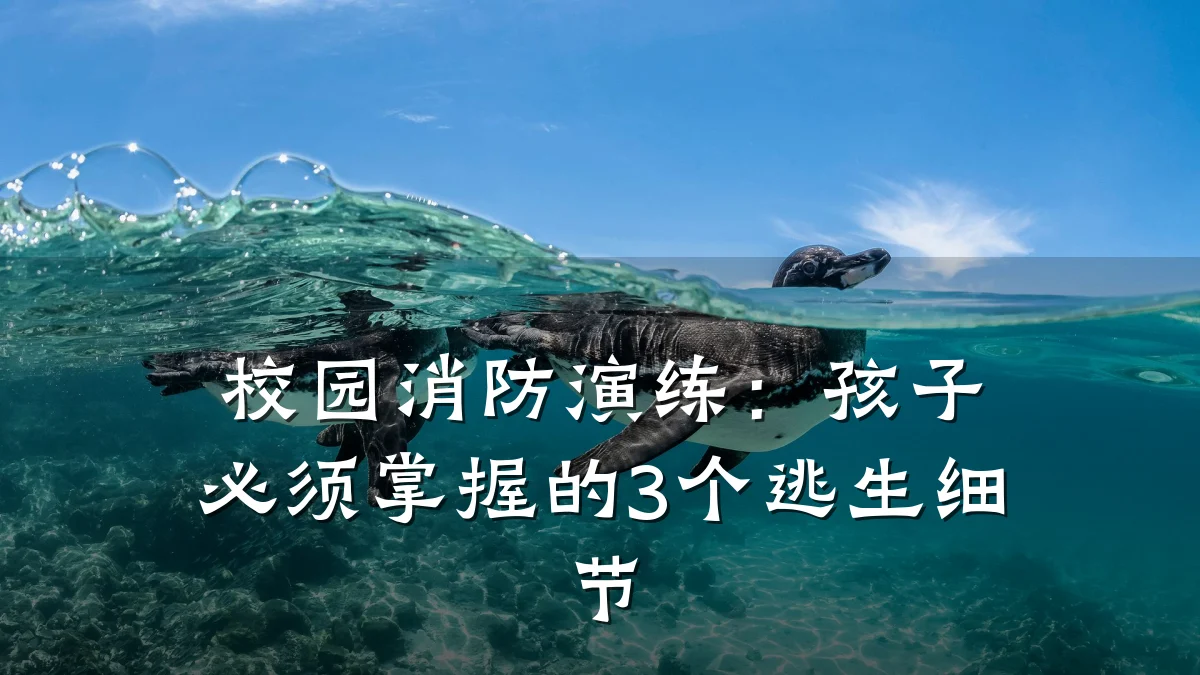 校园消防演练：孩子必须掌握的3个逃生细节